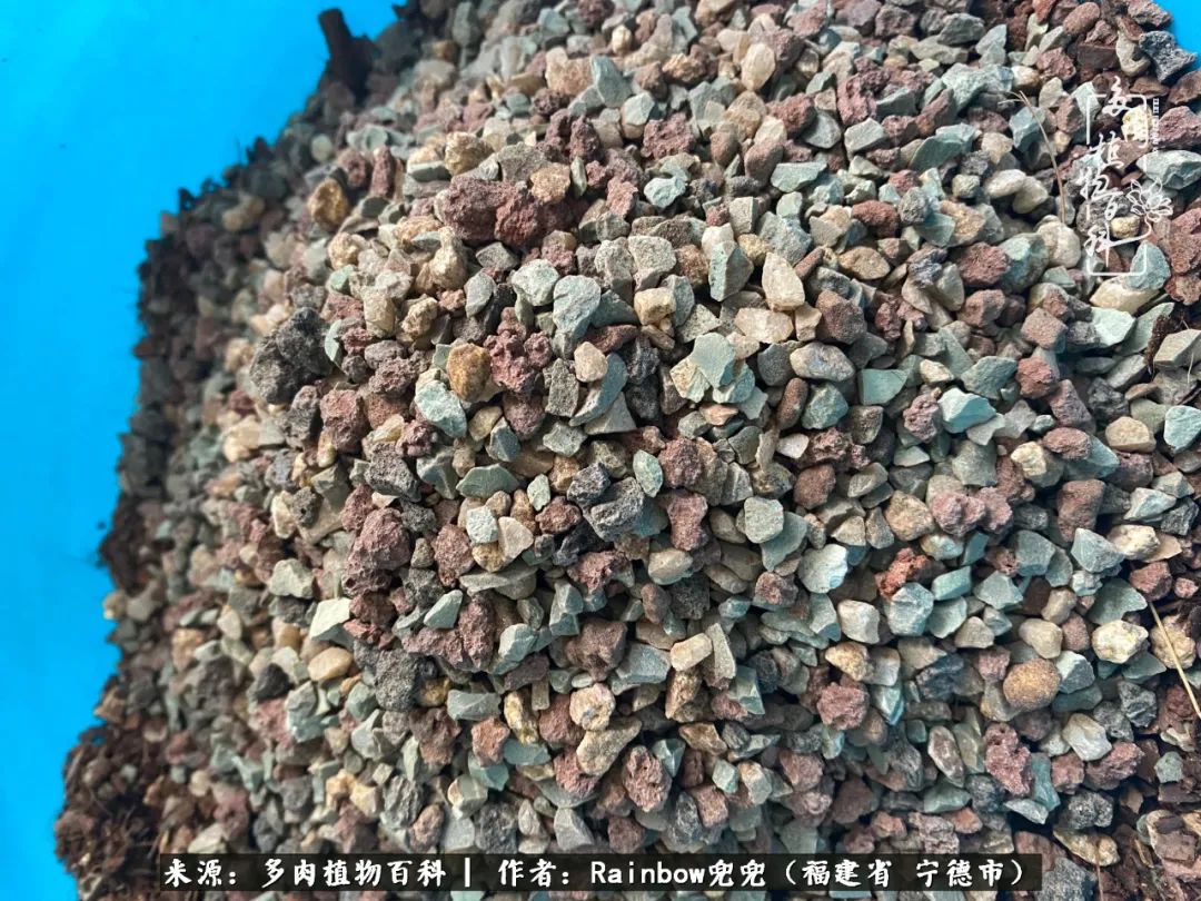 岁月无波澜余生不悲欢是啥意思,愿你岁月无波澜敬我余生无悲欢