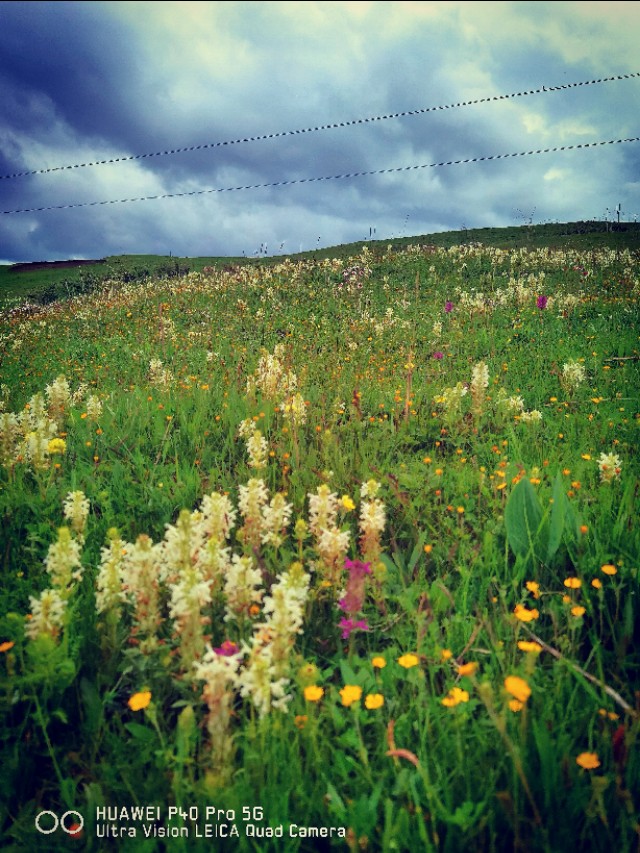 一条绝美草原之路,一条绝美的自驾公路
