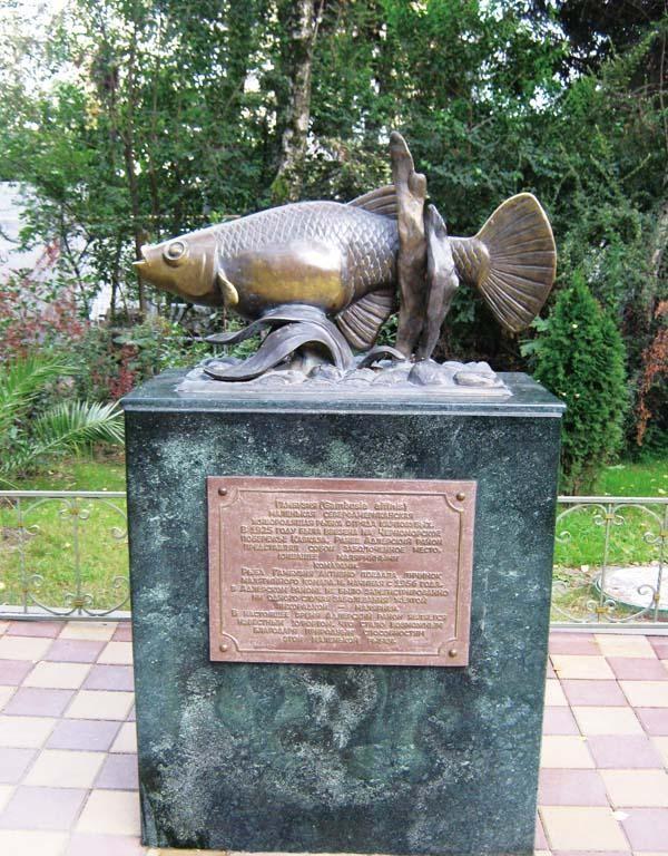 食蚊鱼入侵河北了吗,食蚊鱼我国入侵物种