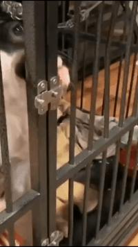 可爱搞笑图片可直接保存,搞笑图片现在的年轻妹纸真会玩啊