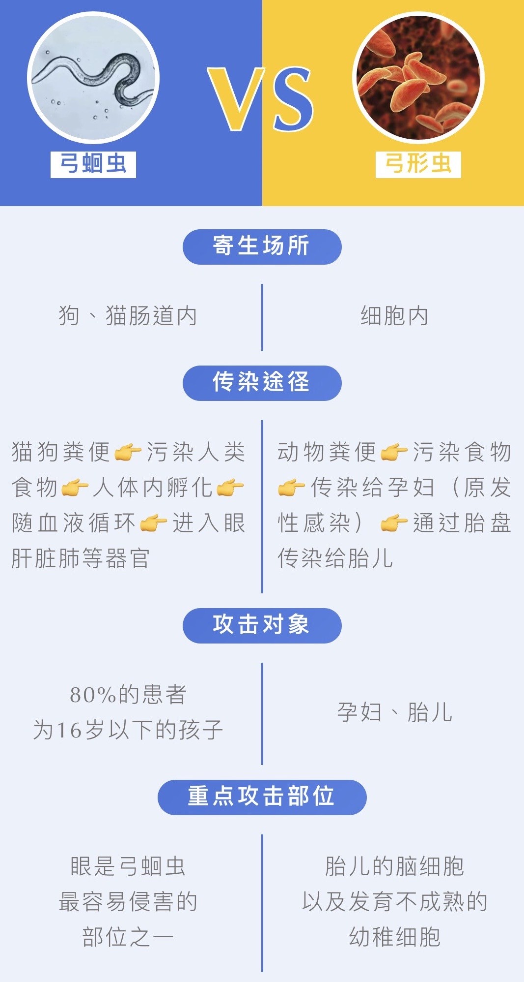 郭碧婷试管生孩子吗,郭碧婷是不是很幸运嫁了豪门