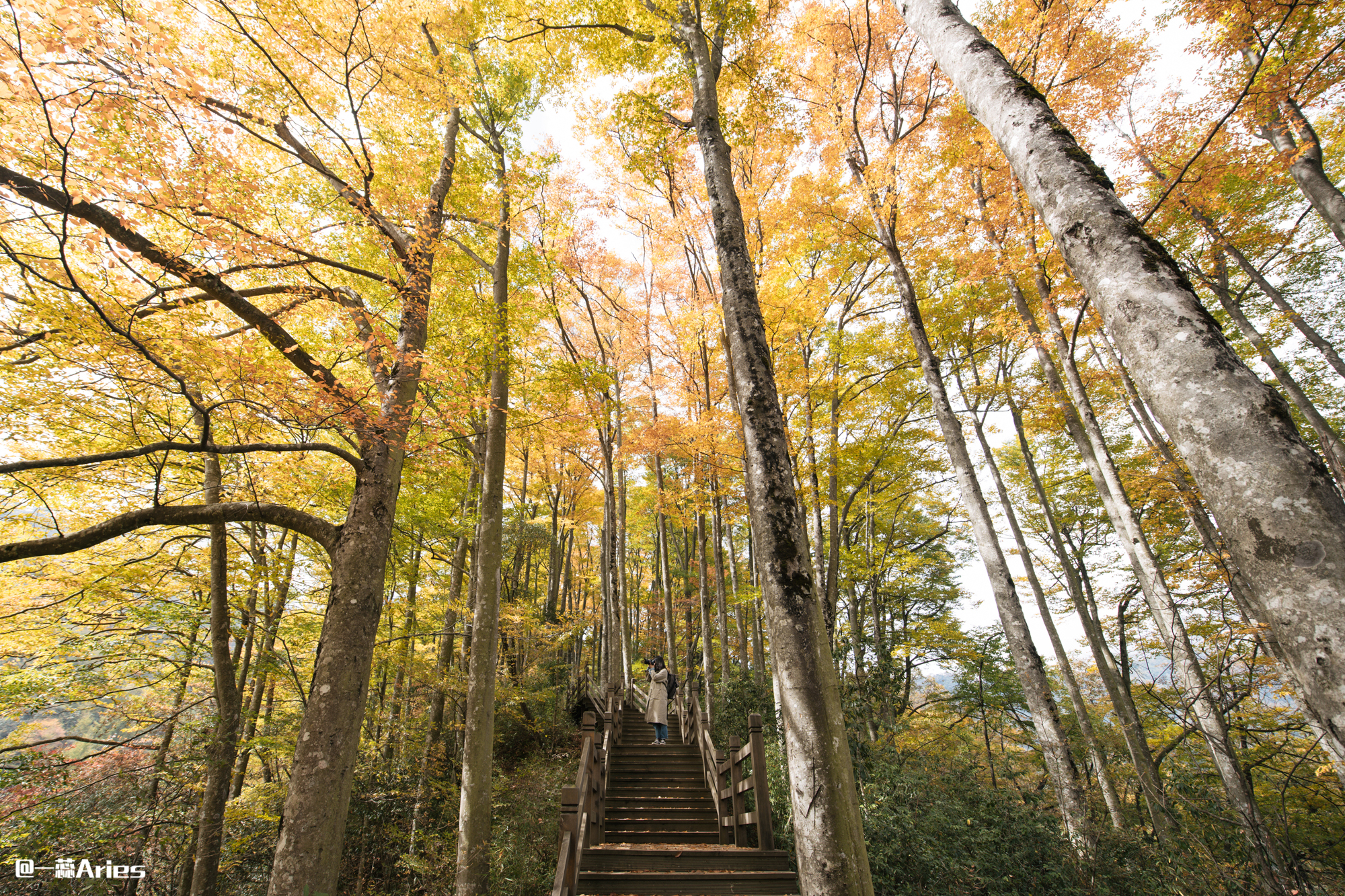 川西赏秋什么时间最好,推荐全球十大最佳赏秋胜地