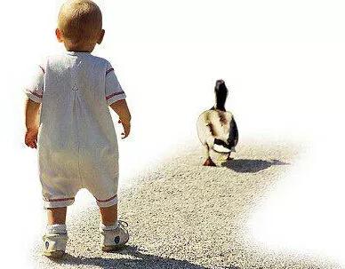 站桩膝关节酸痛怎么回事,站桩膝盖痛还继续吗