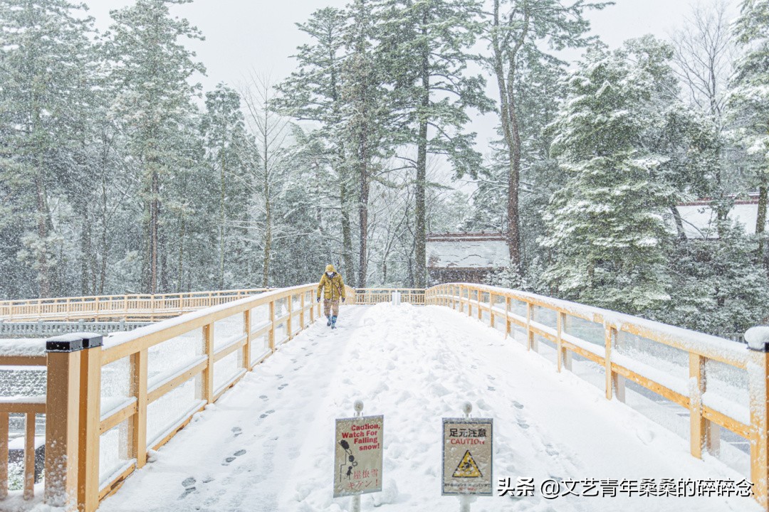 冬季日本的自驾游攻略,冬日游日本名古屋攻略