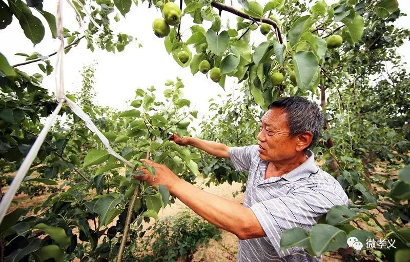 下好先手棋打好主动仗图片,下好先手棋打好主动仗