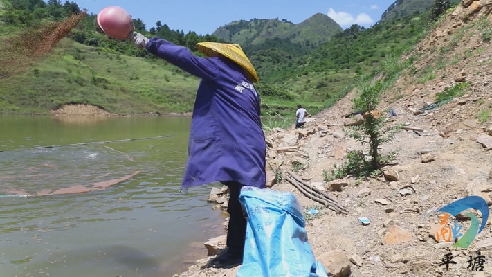 【致富带头人】陆龙江：创业在家乡不用去远方