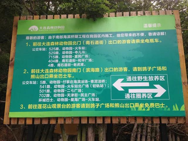 大连旅游攻略精致景点推荐,大连必去的打卡景点