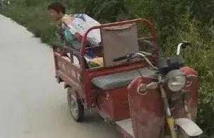 西瓜被偷倒赔偷瓜者300元,西瓜被偷瓜农却倒赔300给小偷