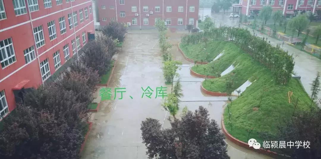 临颍第一所公立寄宿制学校,临颍县城中小学