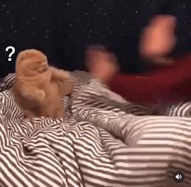 想知道上面的这个洞洞是用来干什么的？