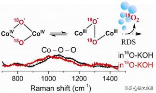 鍌寲鍛ㄦ姤,鍌寲蹇姤鏈熷垔