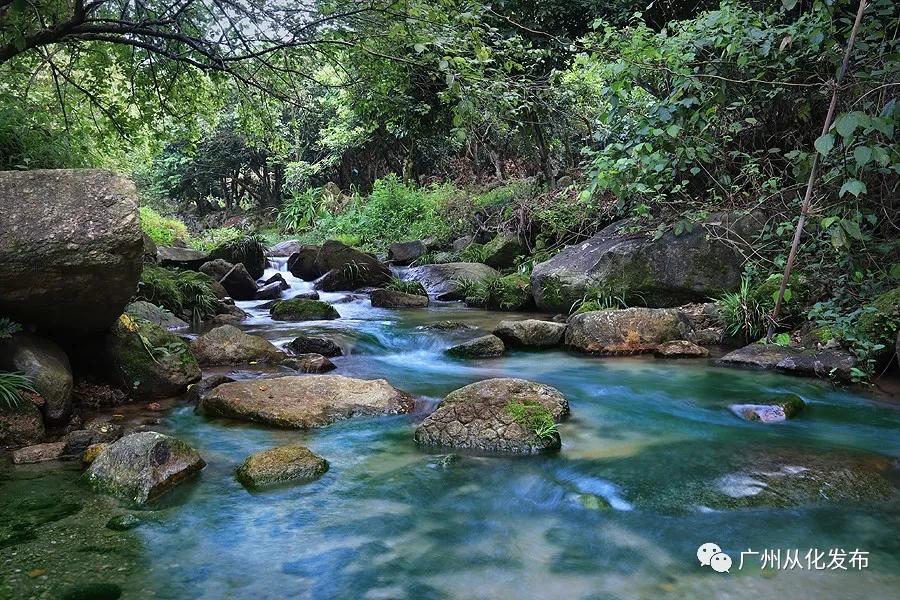 楂樻牎瀛︾敓鐪间腑鐨勫叡闈掑洟,楂樻牎鐢熺溂涓殑鏃朵唬鍙樿縼