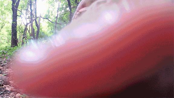 影视剧里最真实的自尽,电视里的咬舌自尽真的会自尽吗