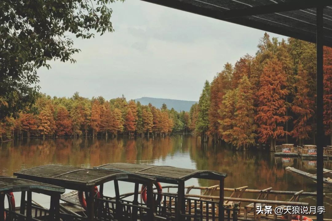 天狼团队最新视频,天狼团队所有视频