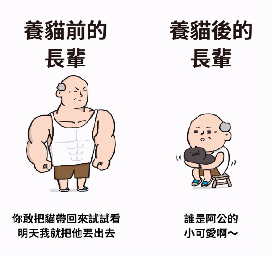 家里不同意养猫,家里不让养猫怎么让家长同意养猫