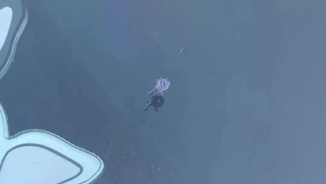 下架过的烟花,过年放的烟花仙女棒全网下架了吗