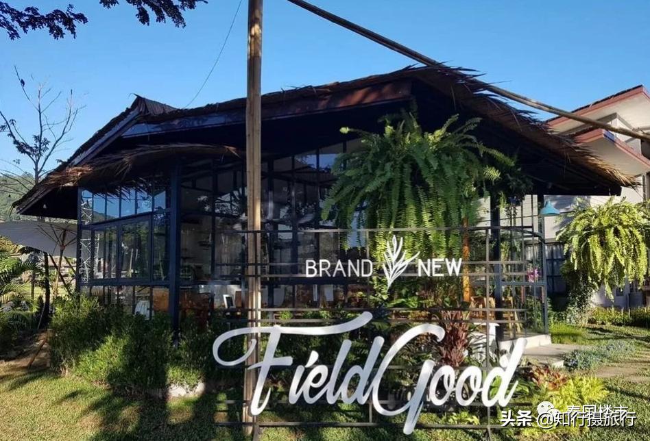 清迈一定要去的咖啡店,打卡泰国清迈6家瀑布咖啡馆