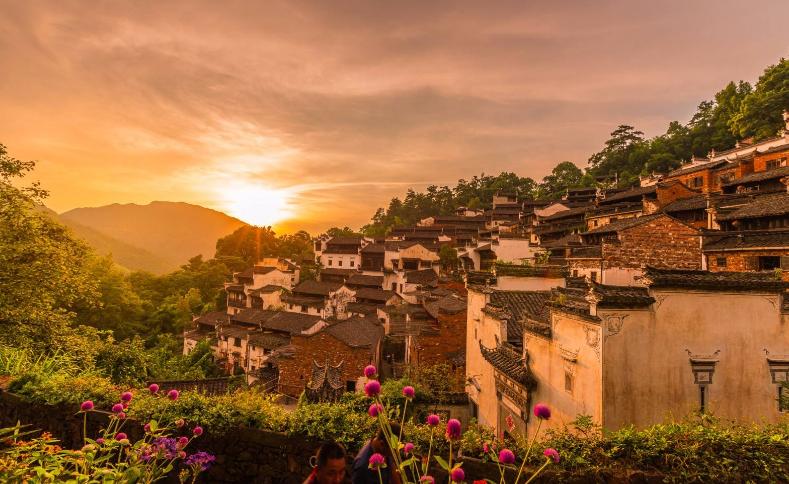 胡适对女性的评价,胡适对女子的看法