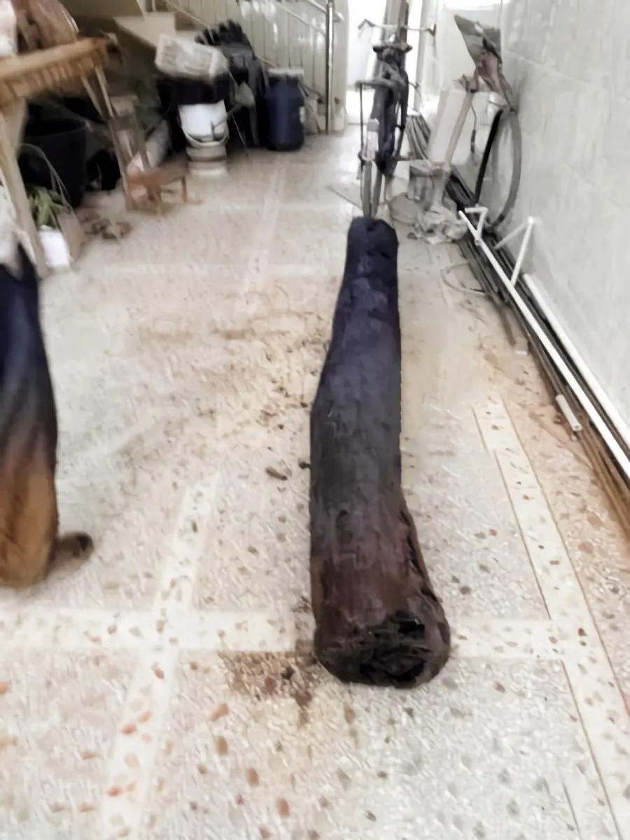 广西小伙捡到一个千年木头,一个老头捡到了价值百万元的木头