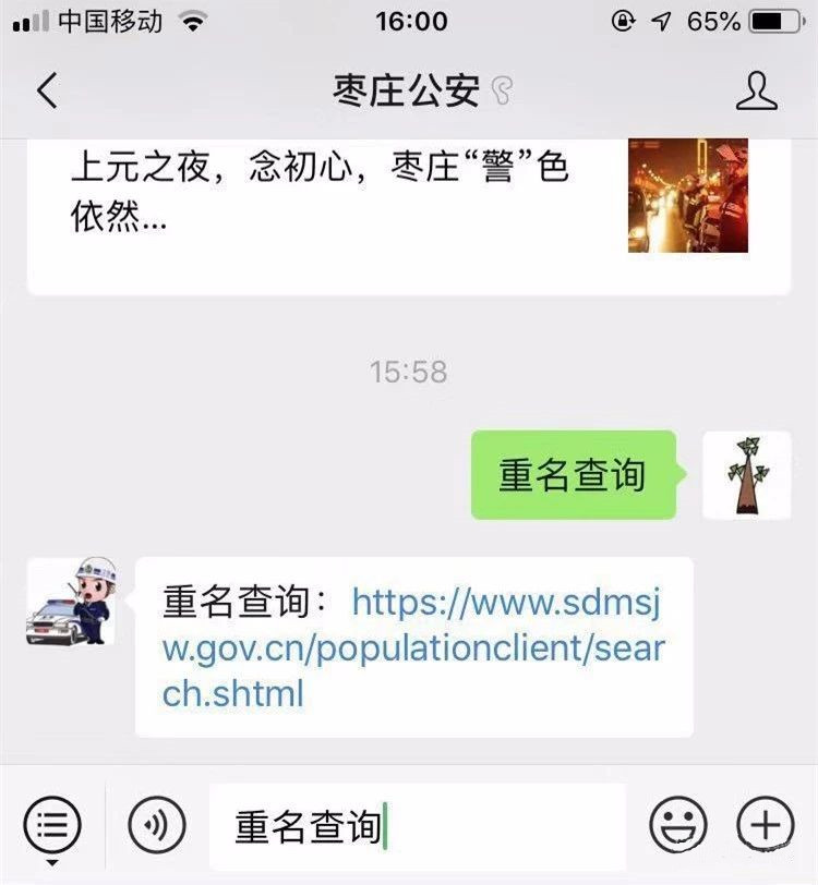 重名查询系统全国官网,全国名字重名查询免费官网