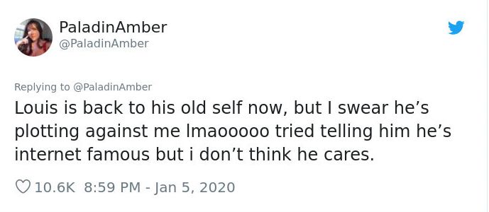 猫突然就不吃不喝死了,猫咪不吃不喝一直睡觉最后死了