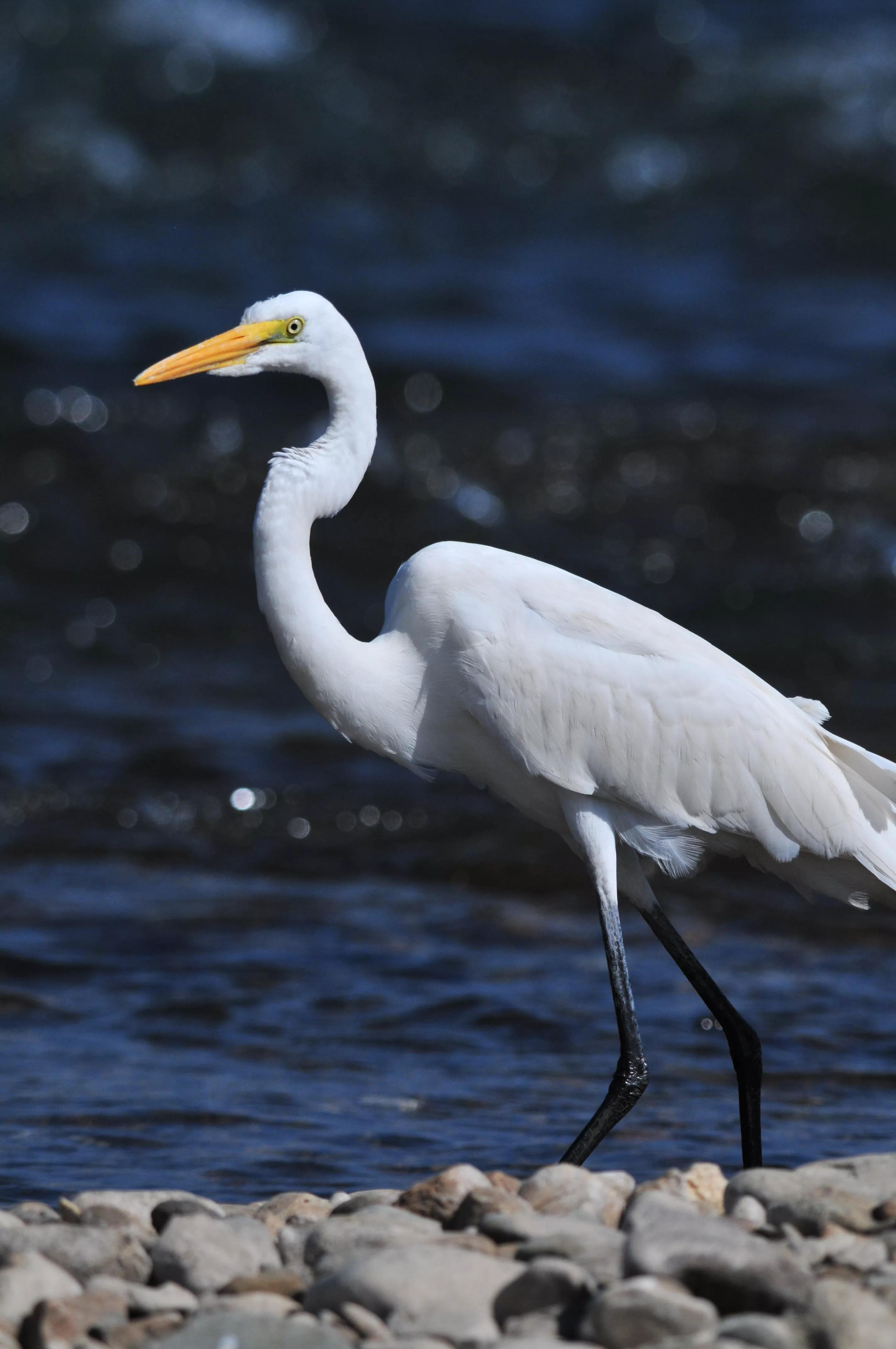 镜头装增距镜光圈会变化吗,镜头加增距镜后虚化效果会变好吗