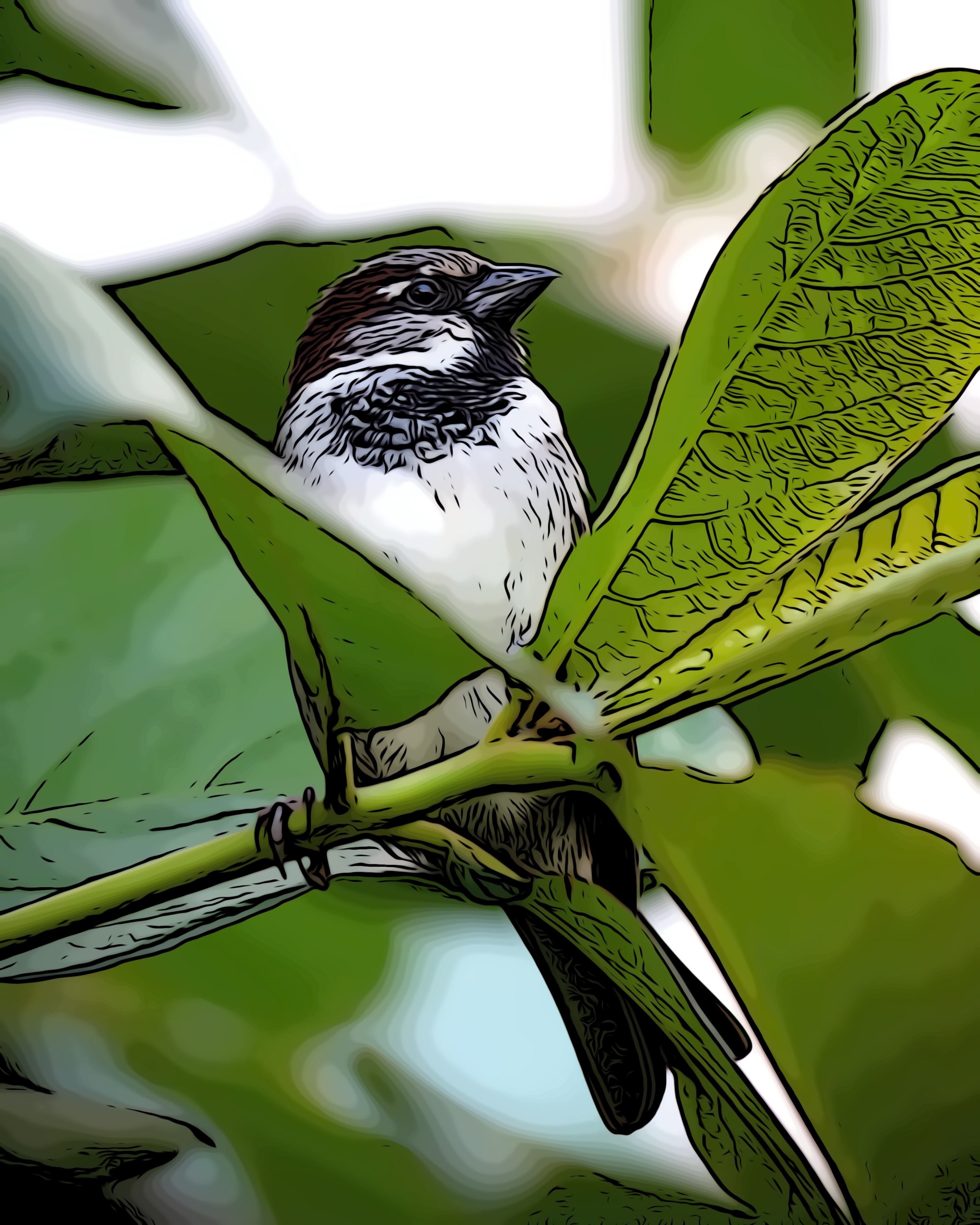庄子的逍遥游之大而无当,庄子讲述彭祖活了八百岁