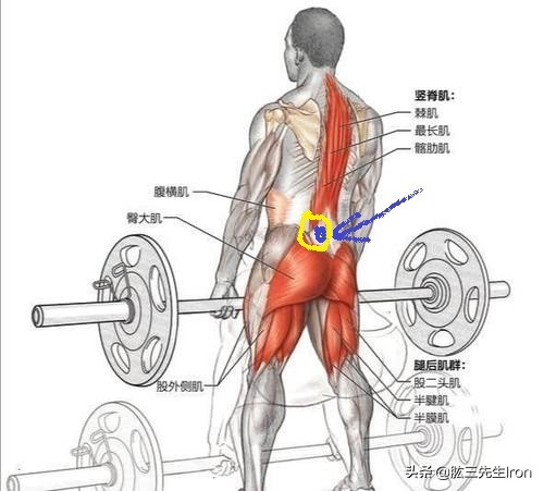 腰部受伤了怎么恢复训练,腰部受伤最佳恢复方法