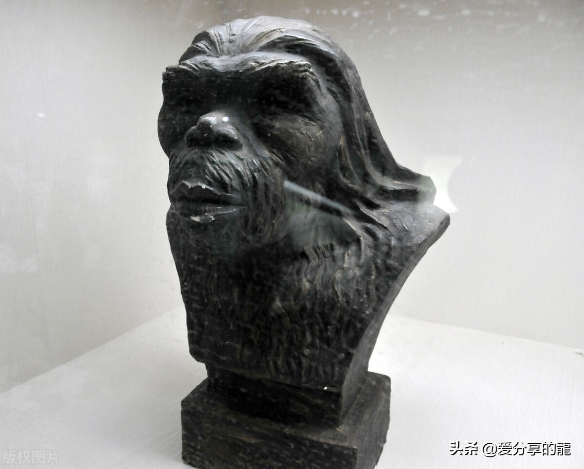 商朝到周朝历史讲解,历史商朝文明