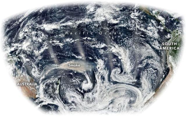 澳洲噩梦,过火面积1030万公顷,国宝*愿请**迁居新西兰,专家不看好