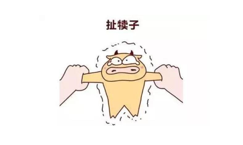 东北名菜小鸡炖蘑菇,东北四大硬菜公鸡炖母鸡