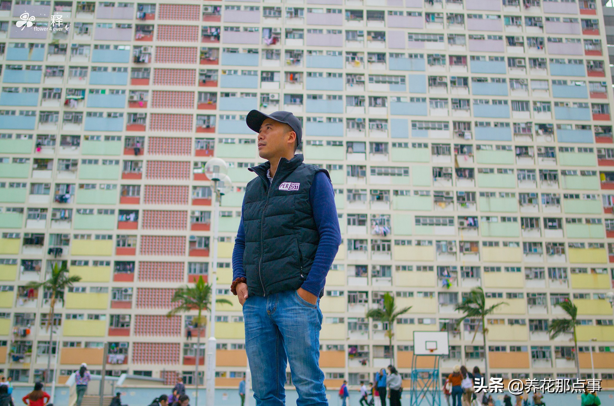 水果一斤一百多，穷人都吃不起蔬菜水果，这才是真正的香港