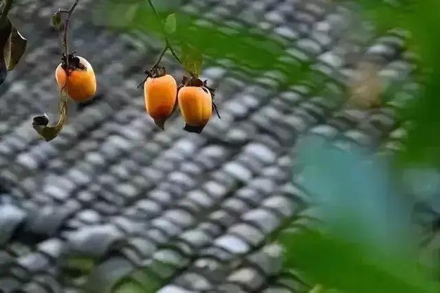 云对雨雪对风声律启蒙完整,声律启蒙晚照晴空翻译