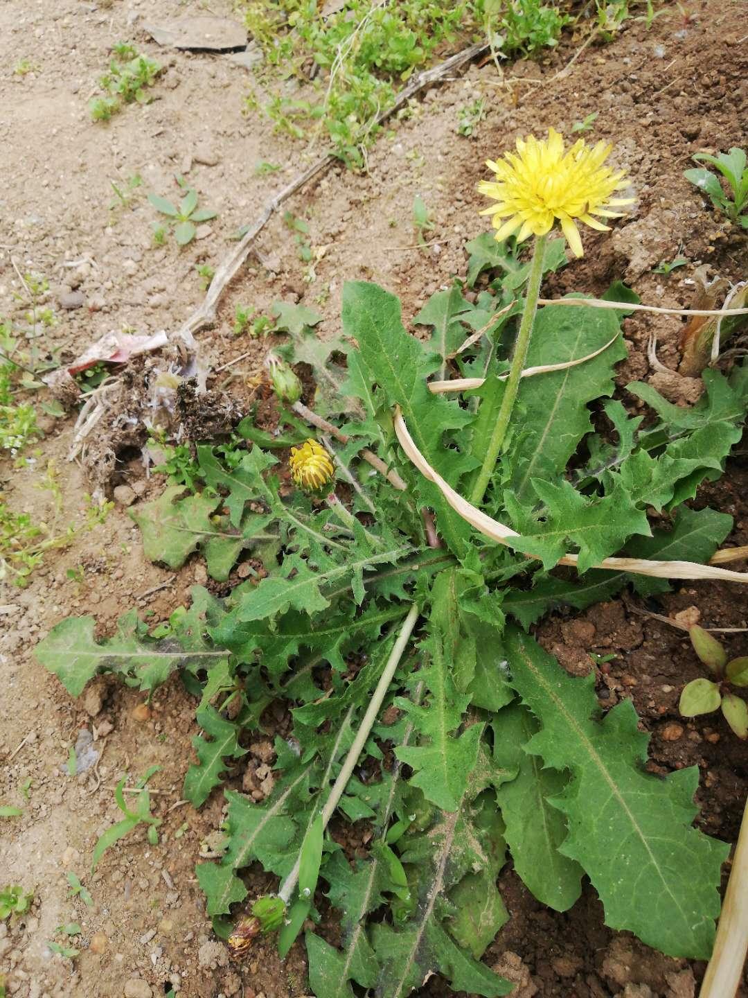 闲着木事儿，你来俺家玩儿呗