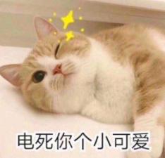 夏季毛孔堵塞怎么办,夏季皮肤毛孔粗大油腻怎么办