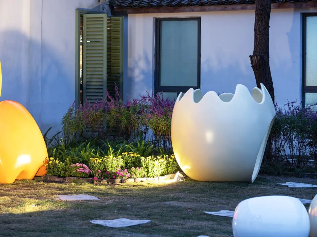 萌宠上阵，整个空间都奇趣了！