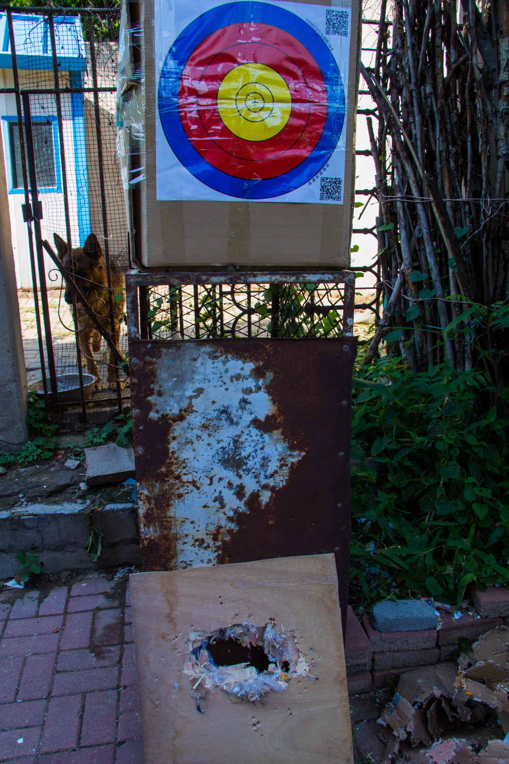 国产复合弓新手推荐,测试复合弓威力到底有多大