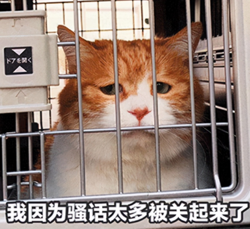 他是最会碎碎念的EVE名将,因“修蛋”指挥而名扬全宇宙