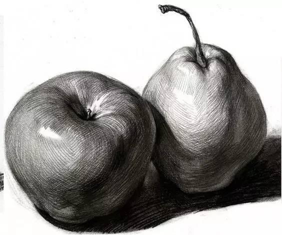 素描不会画实物怎么办,素描静物不会深入刻画