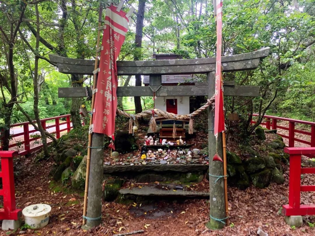 告别流浪猫展览再现12个吸猫圣地,最治愈的吸猫胜地