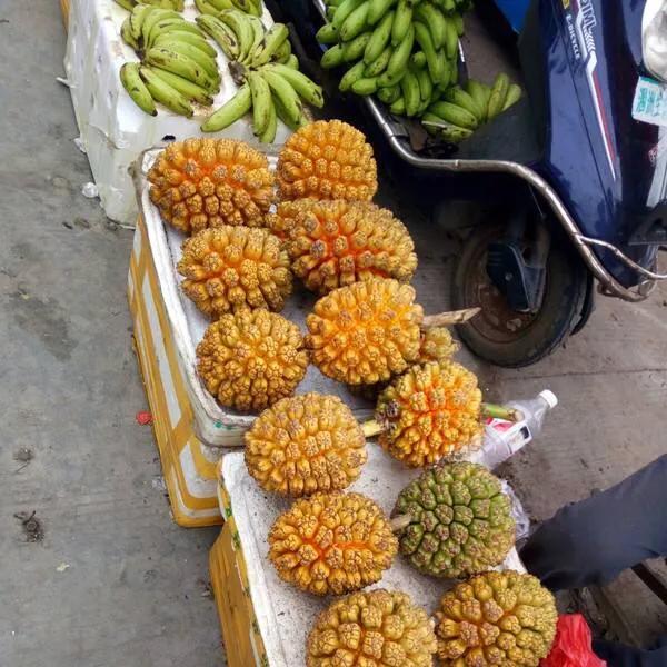 成都到涠洲岛旅游攻略自由行,成都去北海涠洲岛旅游攻略