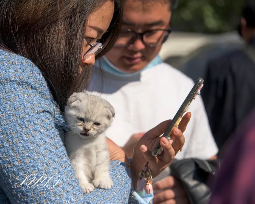 天津徐庄子宠物市场,天津北辰小街桥下宠物市场