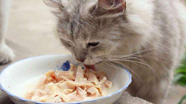 全职宝妈在家带娃没钱的日子,宝妈在家带娃做点啥工作