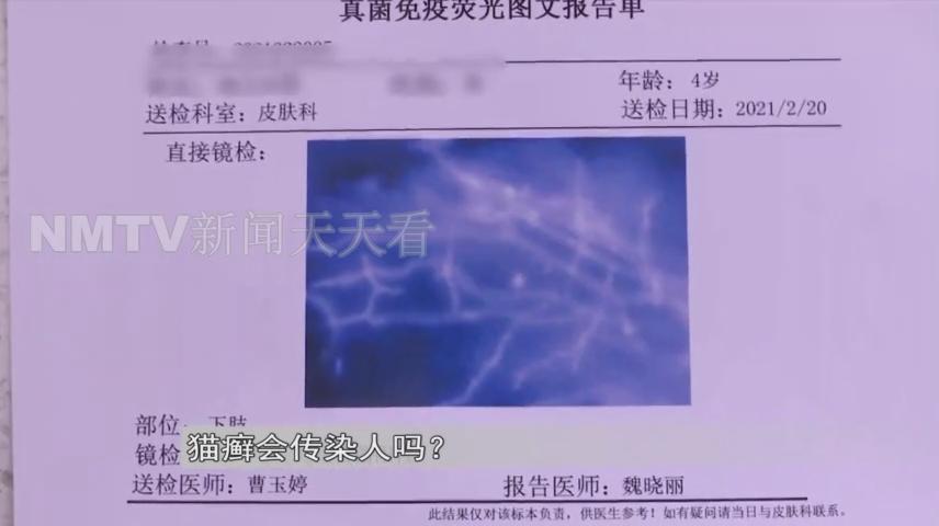 呼和浩特一女子花1500元买了只小猫，几天后孩子身上竟出了红疹？！女子投诉猫舍职能部门介入