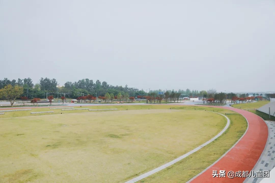 空港花田和空港体育公园哪个好,空港运动公园看飞机攻略