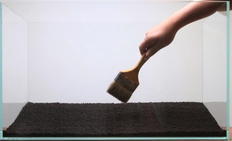 鱼缸最简单的草缸造景教程,鱼缸造景草栽种教程