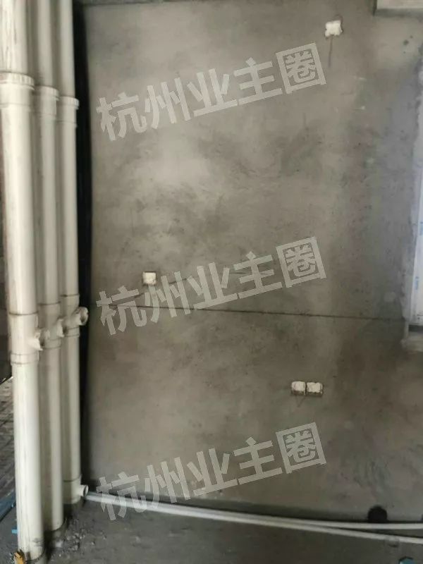 绿都什么意思,绿都包括哪些绿