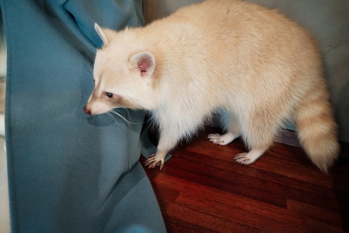 新手怎么逛免税店攻略,50家免税店最划算攻略在此