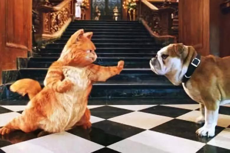 互联网赚钱靠谱的项目,互联网都是怎么赚钱的