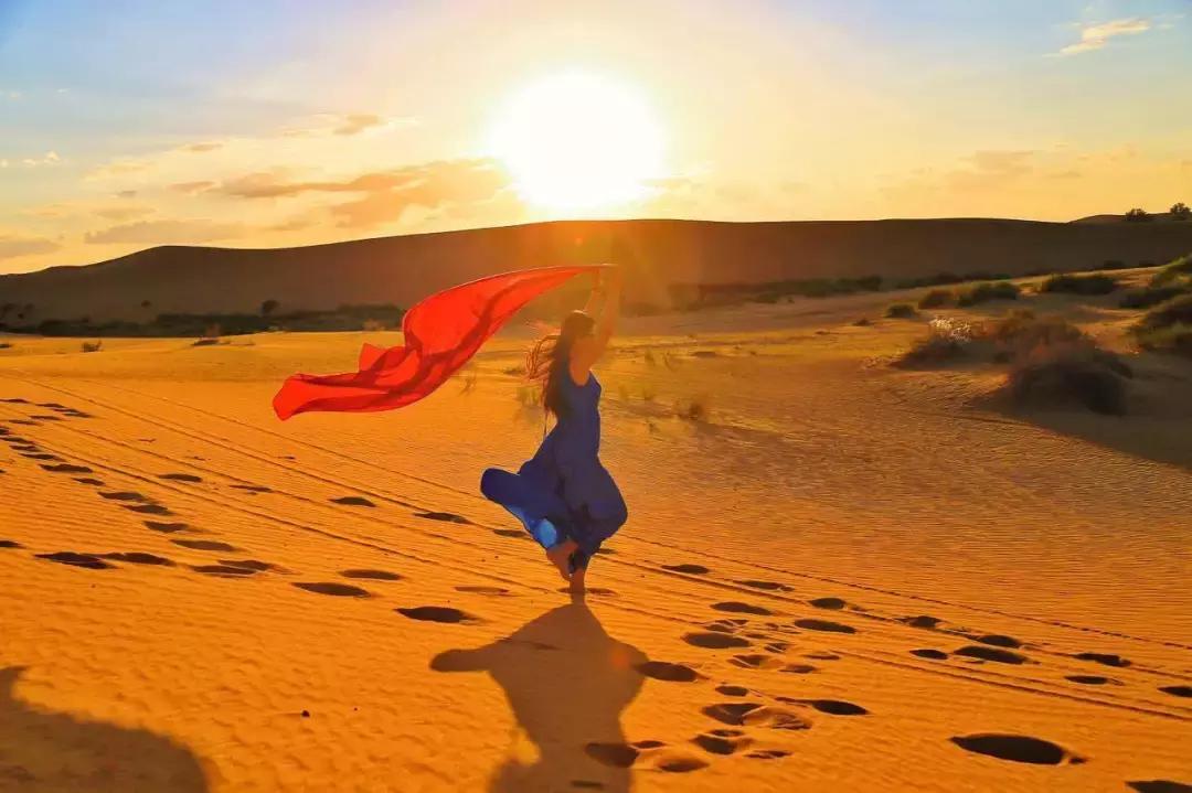 腾格里沙漠骆驼原版,腾格里沙漠骆驼